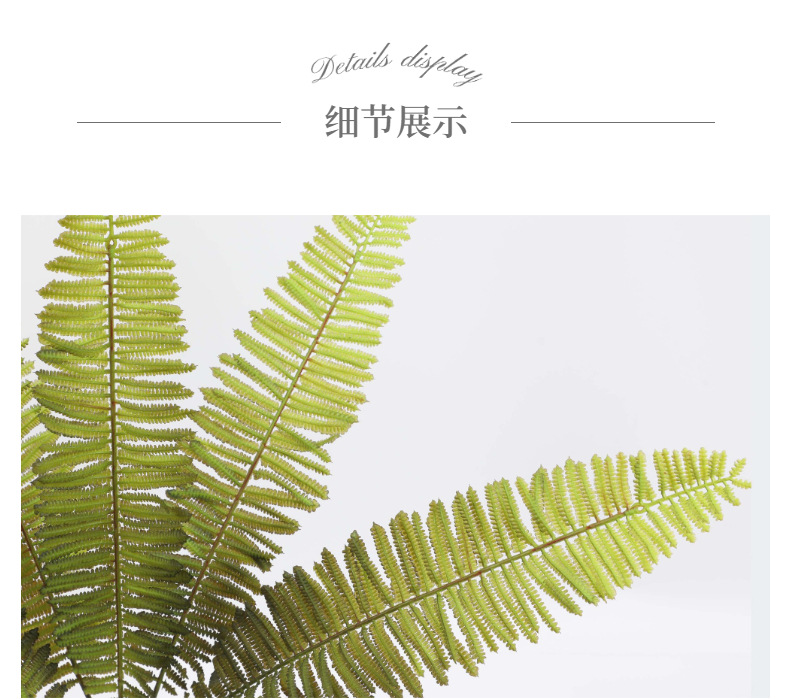 细节展示1 (6).jpg