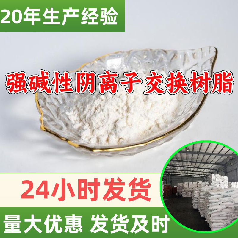 强碱性阴离子交换树脂 厂家直供顾客是上帝满意的服务山东浙江