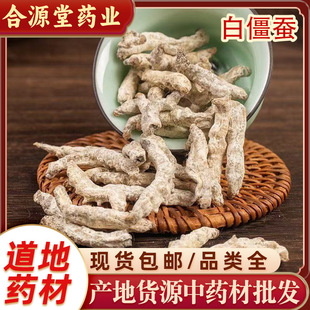 ���Q��ș�� 500g�׽��Q ���x ���x�� ���Q ���Q�ۮa��؛Դ���l