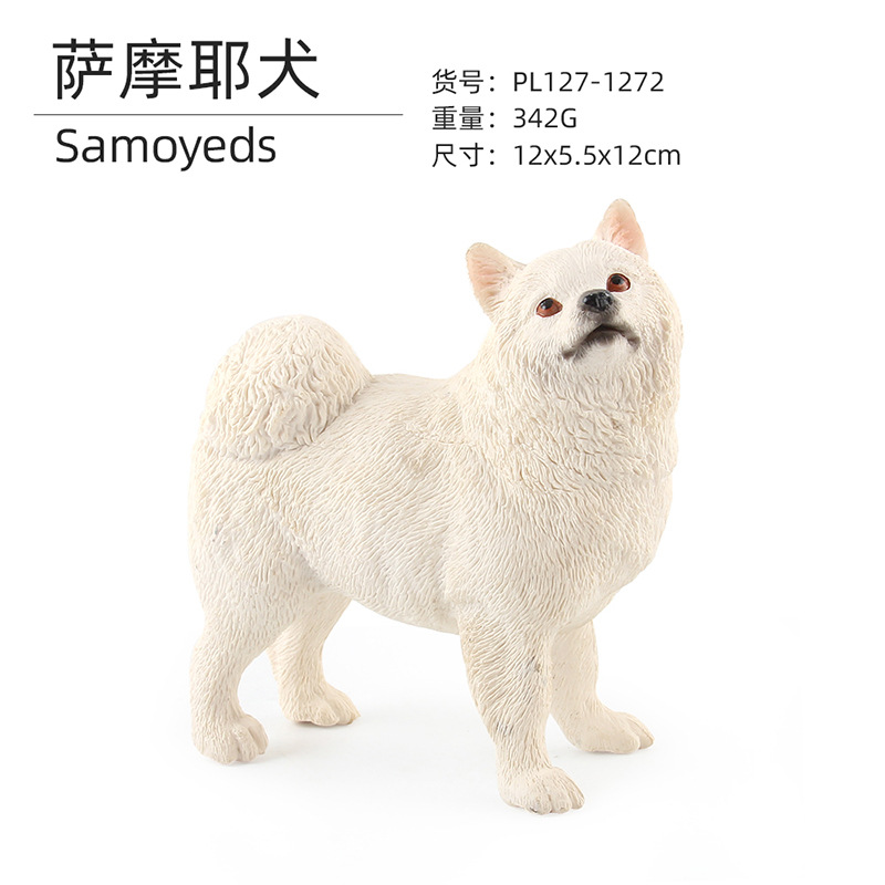 1272 Perro samoyedo 342G