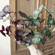 ����A�~�ȼ����~�O���~��c�Y�ò廨�쾰�bҾӷ���ֲ��ٻ�