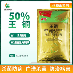 �������� 50%���~ �����S�Ͻǰ߲��rș������
