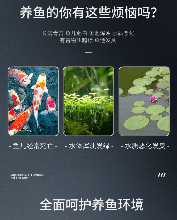 18a51adf-6aaa-4fb2-8627-7387b4a10e67.jpe