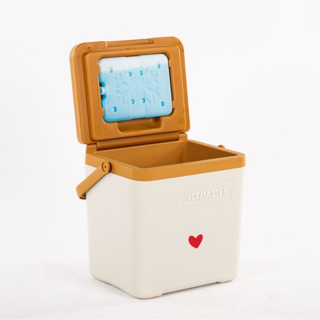 Ice Master incubadora para llevar coche al aire libre portátil hogar mariscos comida espuma de plástico fresco-mantenimiento caja congelador