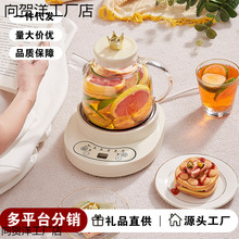 全玻璃养生壶家用多功能煮茶器花茶壶办公室小烧水壶公司活动礼品