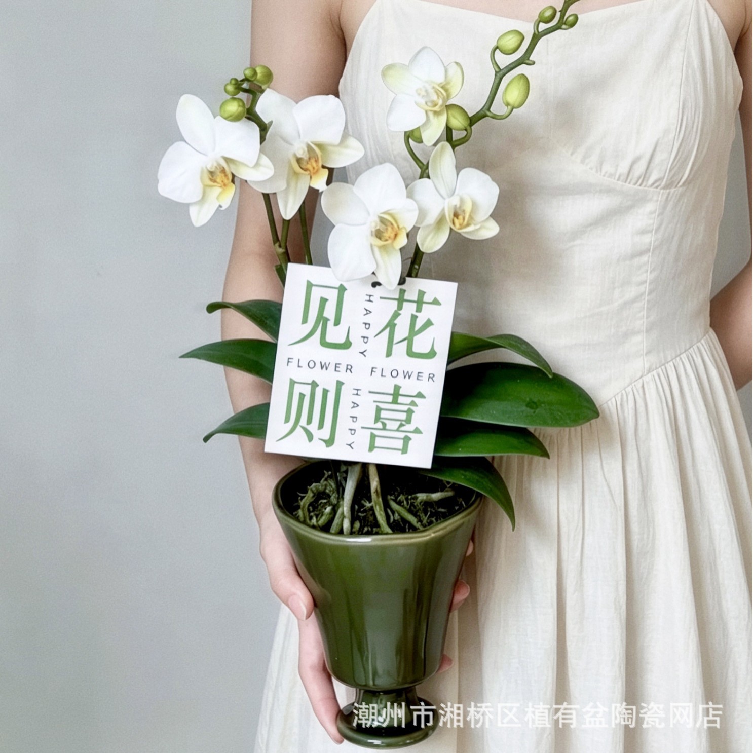 French-Style Retro Minimalist Ceramic Flower Pot for Green Plants, High-End Orchid-Specific Flower Pot, Suitable for Cafes and Flower Shops