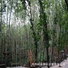 ���ɹŰ͏��נ�������չ�Θ��O�䅲��ħ�W����߿ձĴ��M��ʽ̽�U