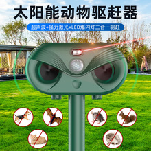 �¿�羳�����yLED����t�⾀�������s�B�F̫��܄�����s��