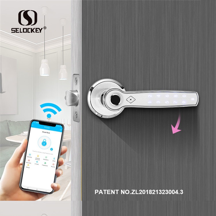 海外仓代发TTlock智能门锁密码锁球形分体锁室内静音指纹锁