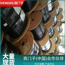 1P 6XV1840-2AH10�����ӹ�ҵ��̫����׼����4 о����6XV18402AH10