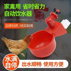 清洁球/刷;厨房小工具;衣钩/挂钩