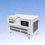 远程控制20kw箱式汽油发电机四缸水冷 大泽动力TOTO20-S 应急电源