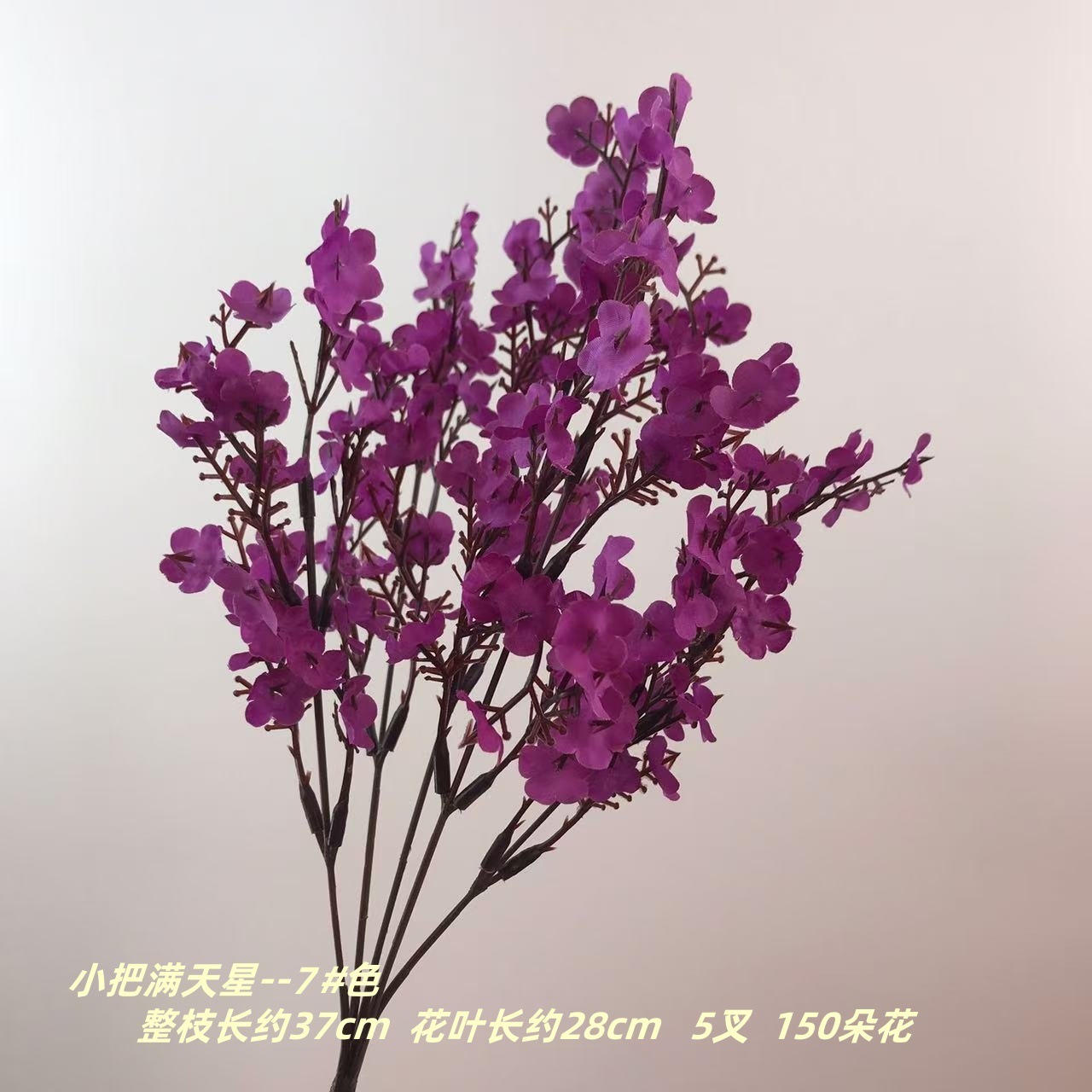 작은 안개꽃 7#색깔