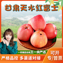【严选】甘肃天水红富士苹果 代发5斤礼盒新鲜采摘脆甜当季水果