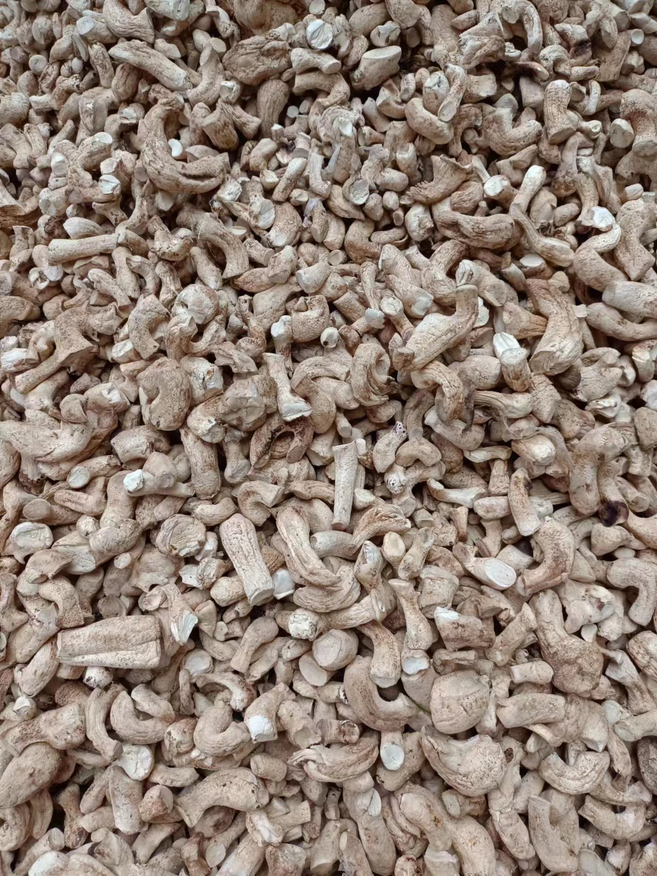 微信图片_2022121707205110