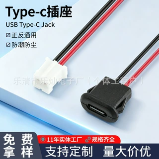 LN-001无线打卡机USB电源充电口 Typec 2P带端子线卡式电源连接器