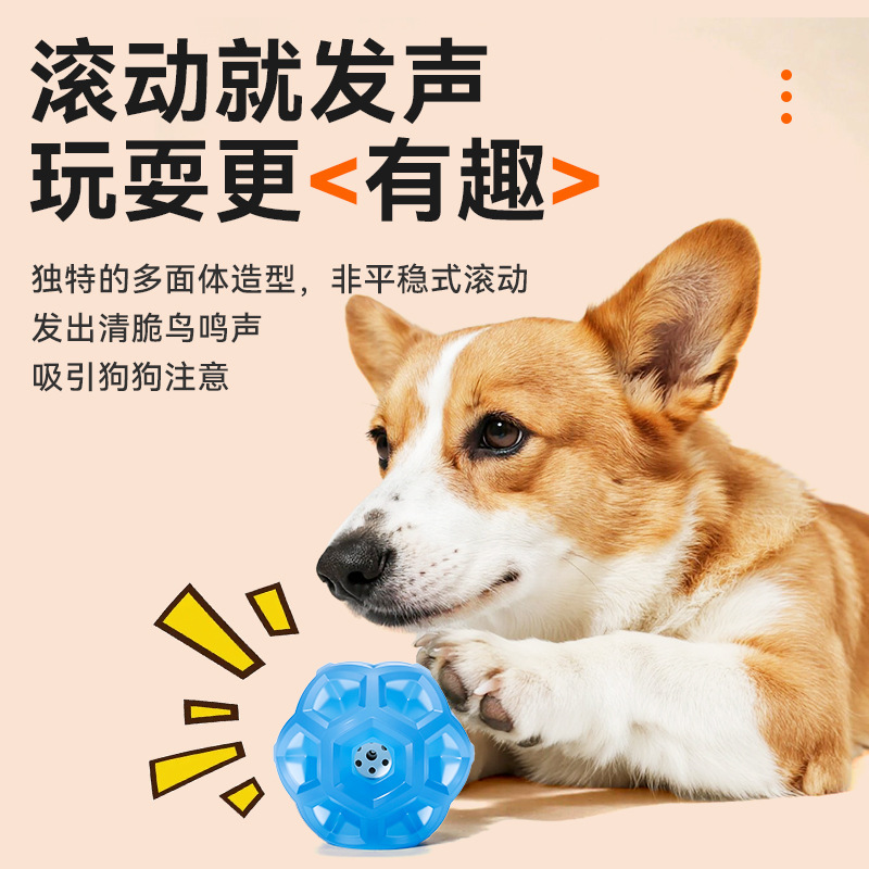 Yite suministros para mascotas nuevo TPR elástico sacudiendo la bola rodante alivio interactivo congestionado sonido resistente a los mordiscos perro de juguete