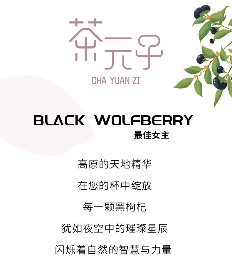 Black Goji Berries Hei Gou Qi Dried Herbal Tea Berries Qinghai Origin Medium Large Grade 500g overview