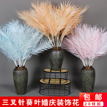 ����ɢβ������ᘿ��~ ��Y��픻��Ļ�c��̨�廨����Ҭ���~�ٻ�