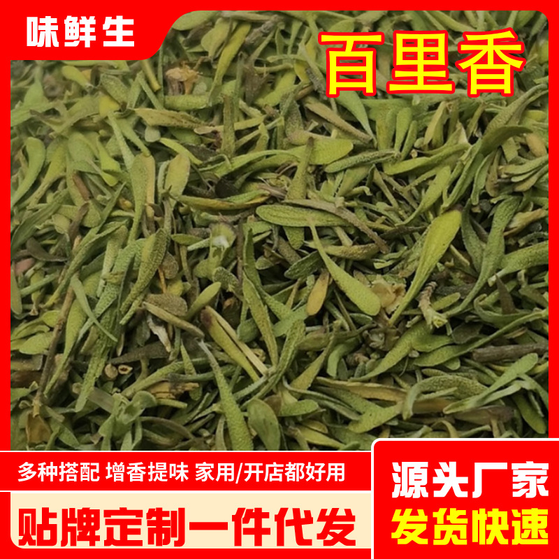 厂家批发百里香食用西餐调味料煎牛排火锅炖肉烘焙干货香料百里香