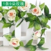 9 rose vine champagne color