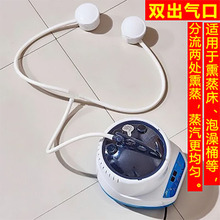 (双通道出气口）批发汗蒸箱家用桑拿浴熏蒸仪满月发汗熏蒸机全身