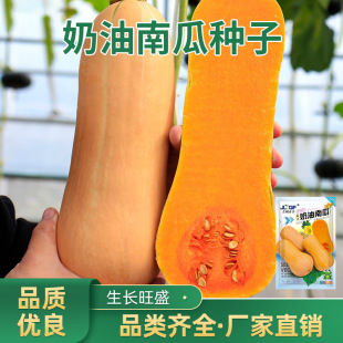 �����ϹϷN�������Ŵ�Ϲ����ļ�ͥԺ���ԷNֲ�߲˷N�������Ϲ���