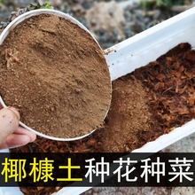 椰砖营养土多肉土种菜土可无土栽培散装免洗脱盐椰砖椰糠土通用