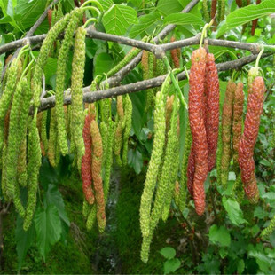 ��ɣ����С�� ɣ�ؘ��� ̨���L�� �o�Ѵ�ʮ ������ɣ��ɣ��ɣ2̖