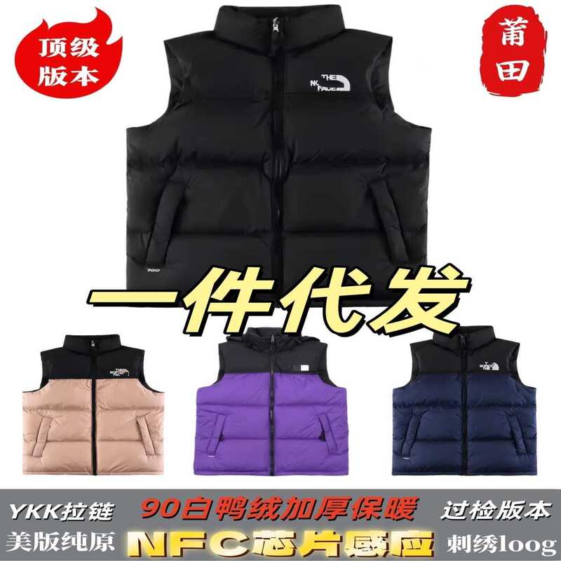 High Version Beijia 1996 down Jacket Vest for Men and Women, Autumn and Winter Tnf700 Fluffy Putian American Version Embroider