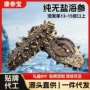 直发代工定制水产干海参