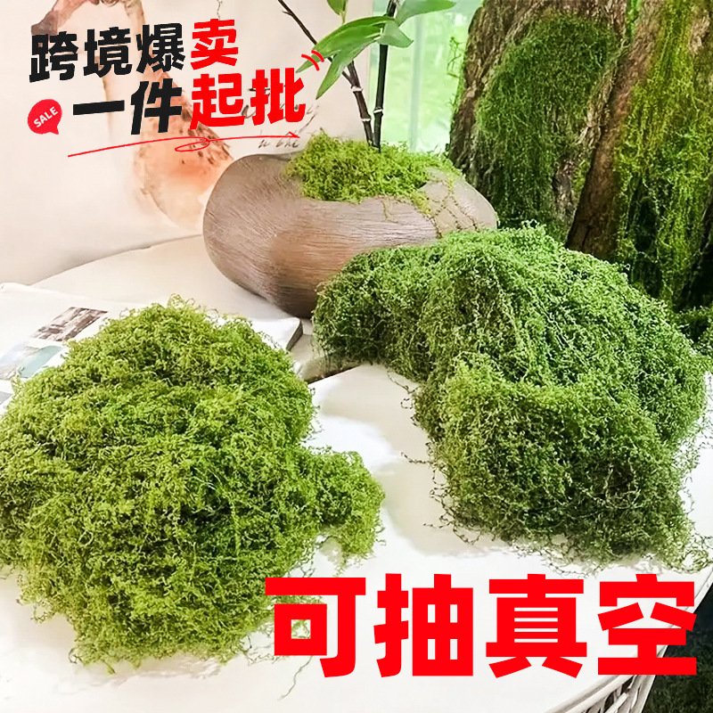 Simulation filamentous moss lawn artificial moss simulation wool moss landscape layout lawn bonsai potted plant pavement Simulation filamentous moss lawn artificial moss simulation wool moss landscape layout lawn bonsai potted plant pavement