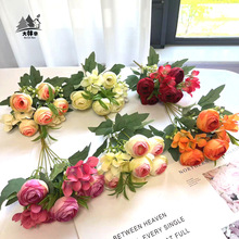 �_������õ���c�������� ��Y�zӰ���������ٻ��Ҿ��b��潁