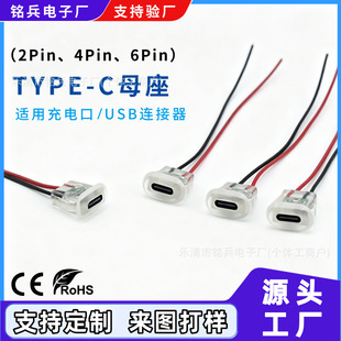 ����type-c 2Pinע�zĸ�� �E�A����C������O������Դ��ˮ�B����