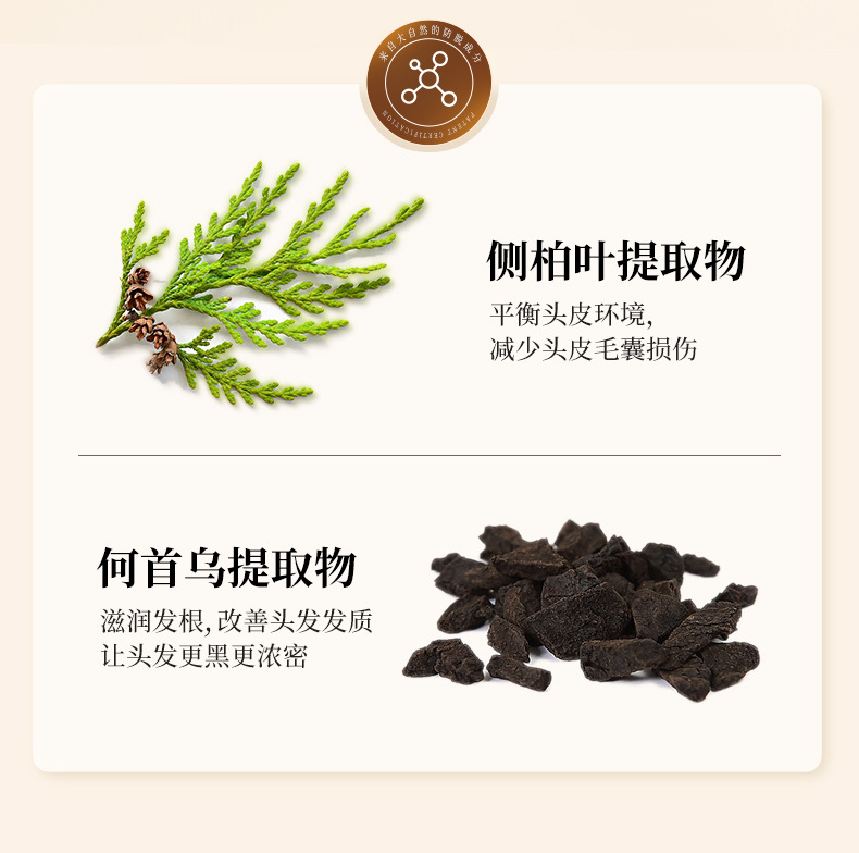 采菲尔生姜洗发水详情_07