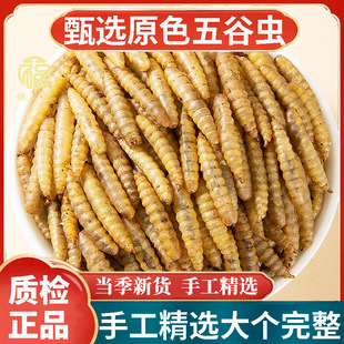 ����x500g�Bֳ����x��؛����x�����x��ˮ���ӷ���؛��