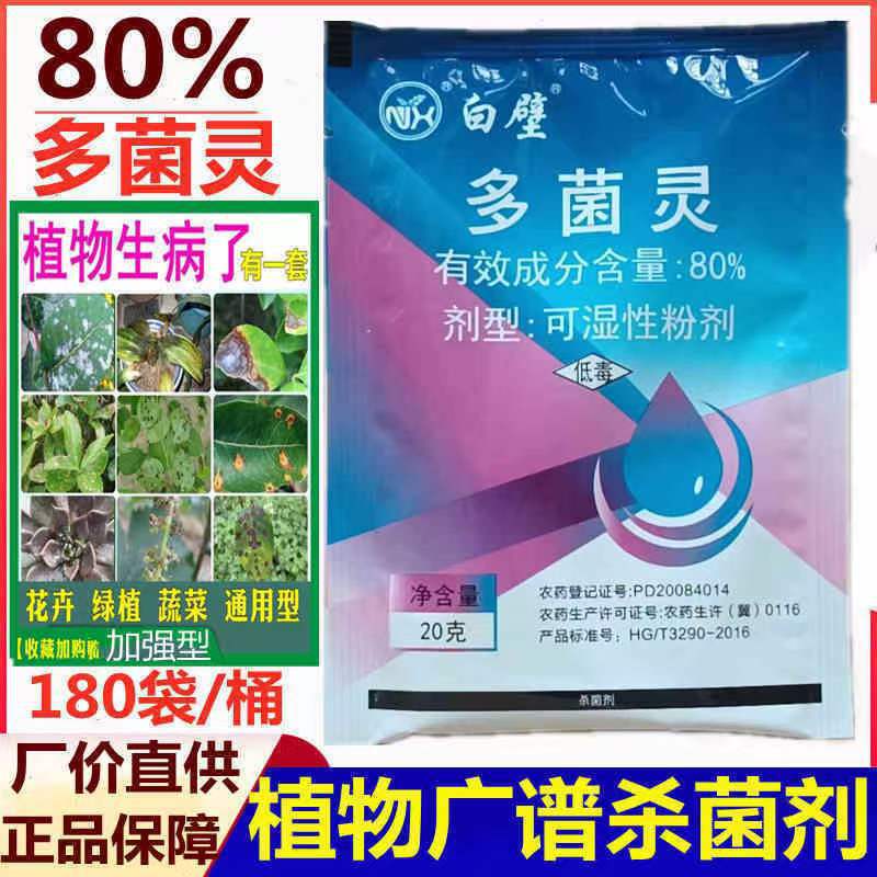 安格诺80%多菌灵 花卉果蔬园艺植物多肉烂菌核病预防保护杀菌剂