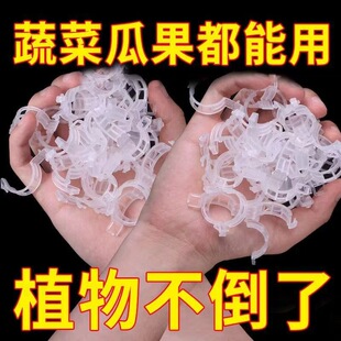 �A�����A��֦�A�����A�����A�߹������̶��A���ѵ��K���۷�����