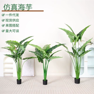 北欧风仿真绿植盆栽萨利安海芋室内客厅仿真植物装饰造景仿真植物