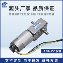 5840-555涡轮蜗杆微型直流减速马达小电机12v24v带编码器自锁齿轮