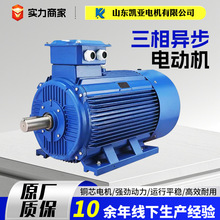 �������ஐ��늄әCYE3-180M-2ȫ�~380v늙C22/30/37kwǧ��늄әC