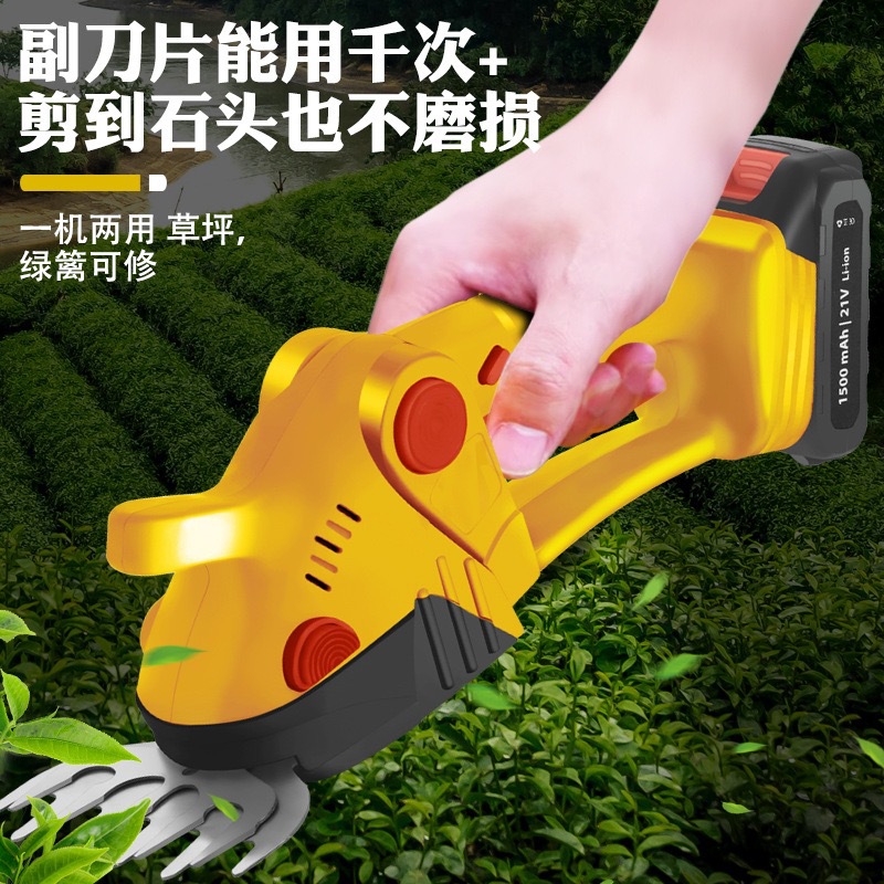 微信图片_2025-04-25_170000_577.jpg