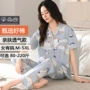 夏季款外穿女士短袖家居服