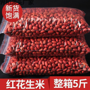 2025���l���Ԯa�tƤ�����������������lС���׏S������������؛��