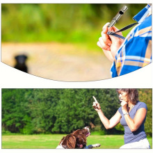 2026�� C6803 ���Q���l�羳�¿�����~��Ӗ�����ڟo��늳�