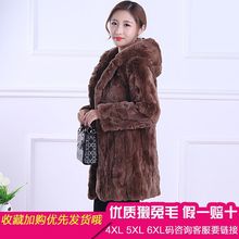 2025海宁新款真獭兔毛皮草外套中长款连帽长袖收腰大码韩版大衣女