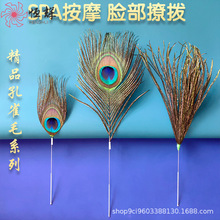 银针孔雀王毛采耳掏耳朵孔雀羽毛扫脸按摩SPA采耳工具打耳朵毛毛