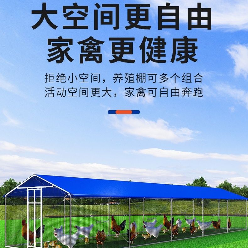 Galería de pollo, jaula de gallinas, jaula de aves de corral al aire libre, marco de tolva, protección contra el viento, lluvia y protección contra el sol, tolva simple para construir galería de gallinas