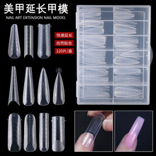 美甲甲片120片盒装水晶延长甲模带刻度免纸托模型延长胶透明甲模