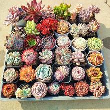 ֲMײ ѨP wB̨ܾ҃Gֲİϻ